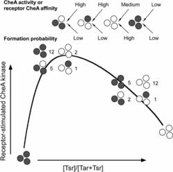 cooperative_signaling